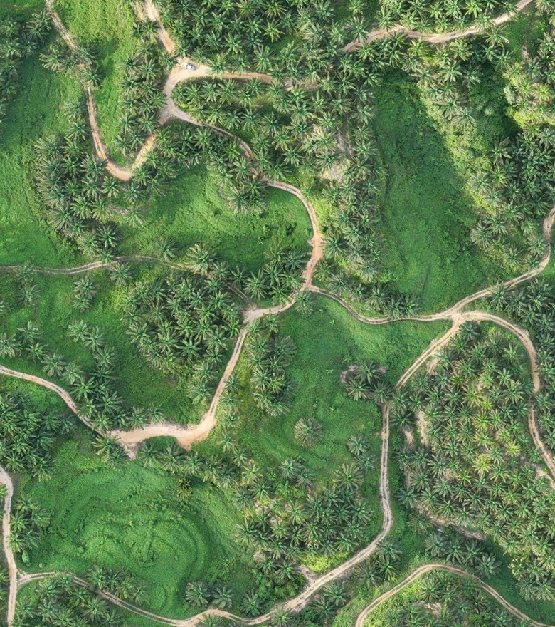 An offline plantation map freshly opened in VicMap, ready to use